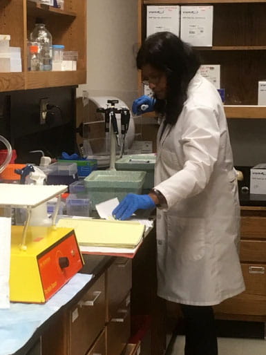 Joyce doing science